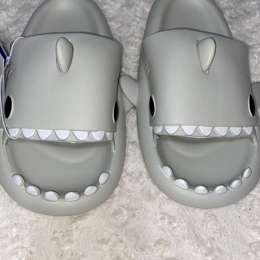 Shark slides - Picture 6 of 7
